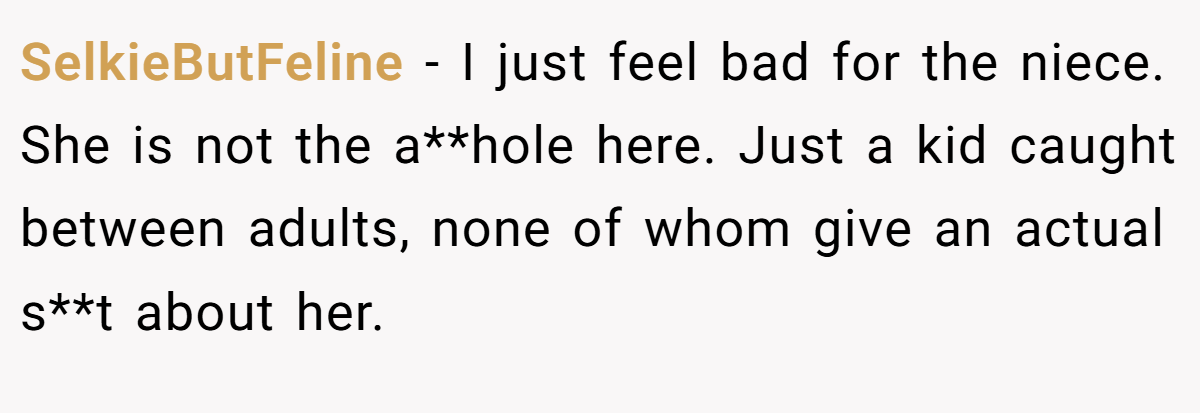 SelkieButFeline − I just feel bad for the niece. She is not the a**hole here. Just a kid caught between adults, none of whom give an actual s**t about her.
