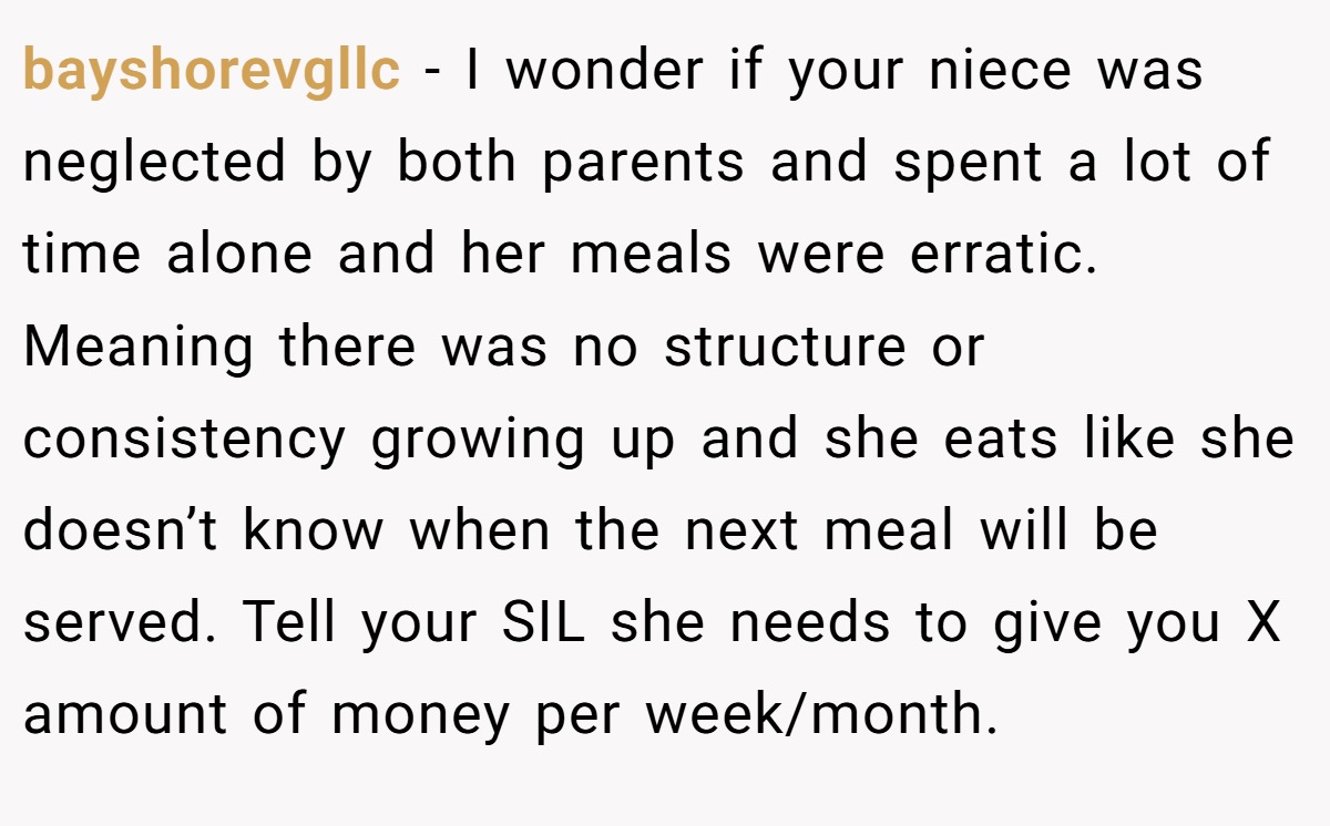 bayshorevgllc − I wonder if your niece was neglected by both parents and spent a lot of time alone and her meals were erratic. Meaning there was no structure or consistency growing up and she eats like she doesn’t know when the next meal will be served. Tell your SIL she needs to give you X amount of money per week/month.