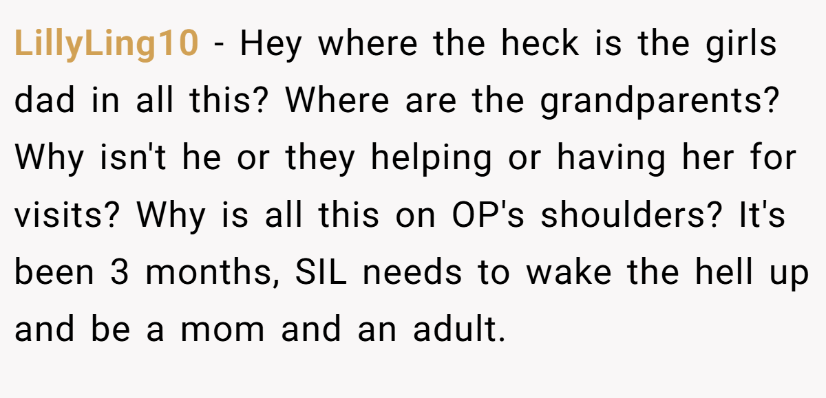 LillyLing10 − Hey where the heck is the girls dad in all this? Where are the grandparents? Why isn't he or they helping or having her for visits? Why is all this on OP's shoulders? It's been 3 months, SIL needs to wake the hell up and be a mom and an adult.