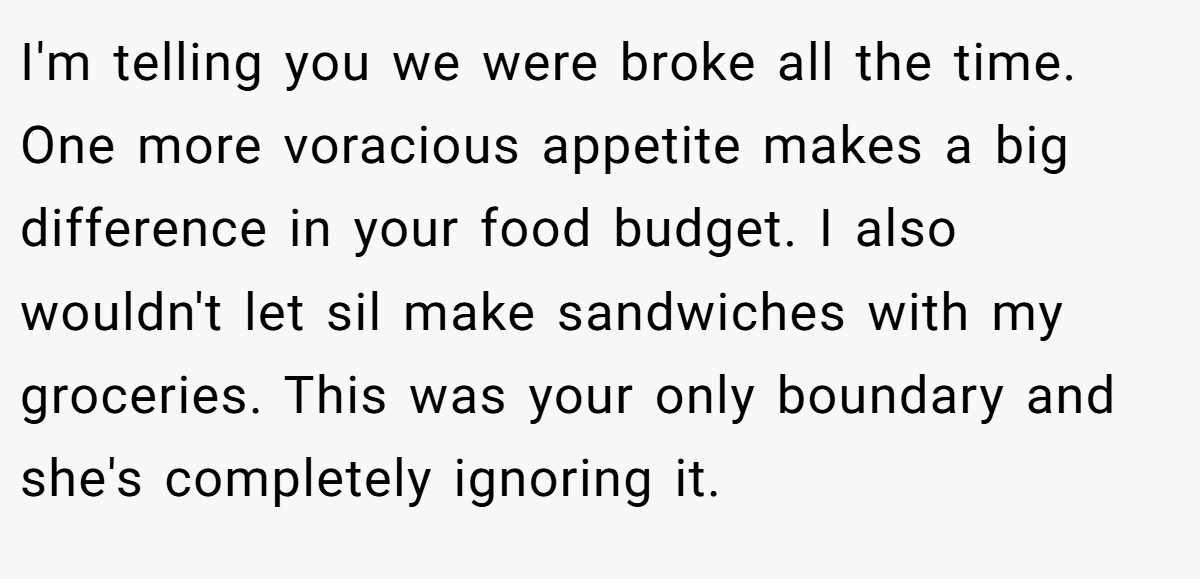 I'm telling you we were broke all the time. One more voracious appetite makes a big difference in your food budget. I also wouldn't let sil make sandwiches with my groceries. This was your only boundary and she's completely ignoring it.