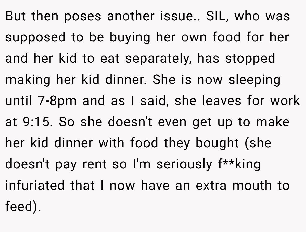 But then poses another issue.. SIL, who was supposed to be buying her own food for her and her kid to eat separately, has stopped making her kid dinner. She is now sleeping until 7-8pm and as I said, she leaves for work at 9:15. So she doesn't even get up to make her kid dinner with food they bought (she doesn't pay rent so I'm seriously f**king infuriated that I now have an extra mouth to feed).