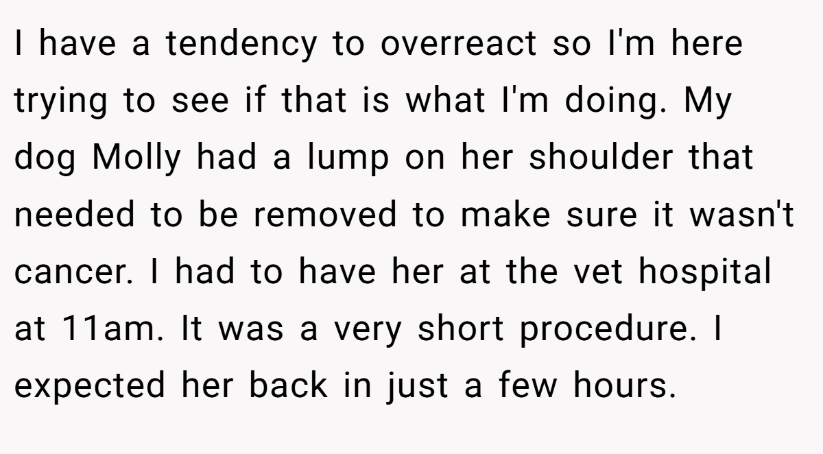 I have a tendency to overreact so I'm here trying to see if that is what I'm doing. My dog Molly had a lump on her shoulder that needed to be removed to make sure it wasn't cancer. I had to have her at the vet hospital at 11am. It was a very short procedure. I expected her back in just a few hours.