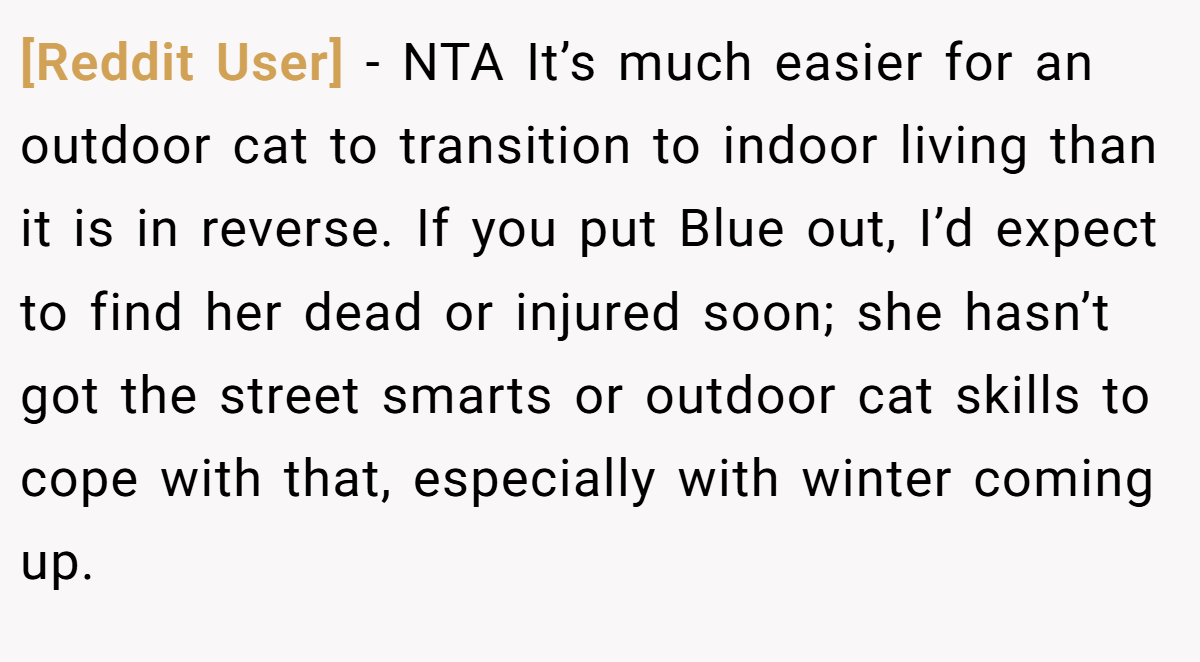 [Reddit User] - NTA It’s much easier for an outdoor cat to transition to indoor living than it is in reverse. If you put Blue out, I’d expect to find her dead or injured soon; she hasn’t got the street smarts or outdoor cat skills to cope with that, especially with winter coming up.