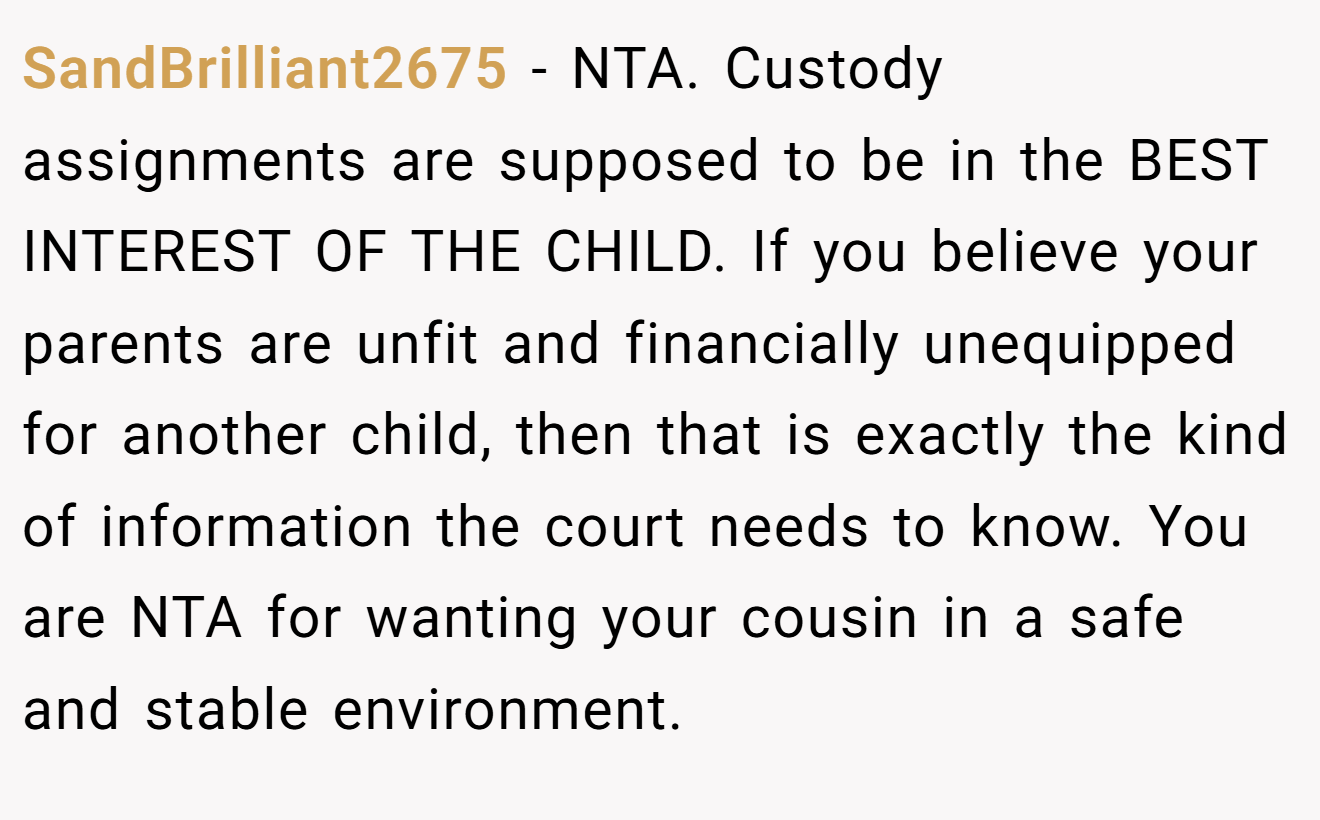 SandBrilliant2675 - NTA. Custody assignments are supposed to be in the BEST INTEREST OF THE CHILD. If you believe your parents are unfit and financially unequipped for another child, then that is exactly the kind of information the court needs to know. You are NTA for wanting your cousin in a safe and stable environment.