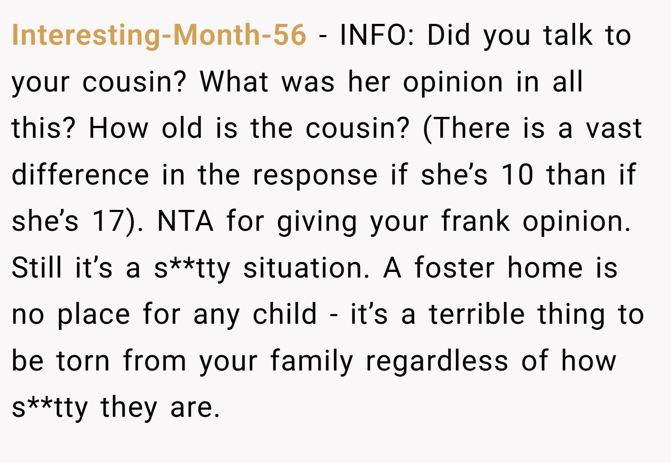 Interesting-Month-56 - INFO: Did you talk to your cousin? What was her opinion in all this? How old is the cousin? (There is a vast difference in the response if she’s 10 than if she’s 17). NTA for giving your frank opinion. Still it’s a s**tty situation. A foster home is no place for any child - it’s a terrible thing to be torn from your family regardless of how s**tty they are.