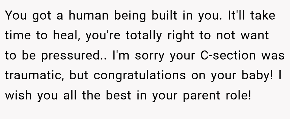 You got a human being built in you. It'll take time to heal, you're totally right to not want to be pressured.. ​I'm sorry your C-section was traumatic, but congratulations on your baby! I wish you all the best in your parent role!