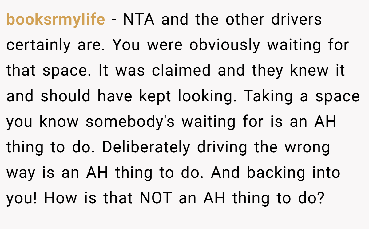 booksrmylife − NTA and the other drivers certainly are. You were obviously waiting for that space. It was claimed and they knew it and should have kept looking. Taking a space you know somebody's waiting for is an AH thing to do. Deliberately driving the wrong way is an AH thing to do. And backing into you! How is that NOT an AH thing to do?