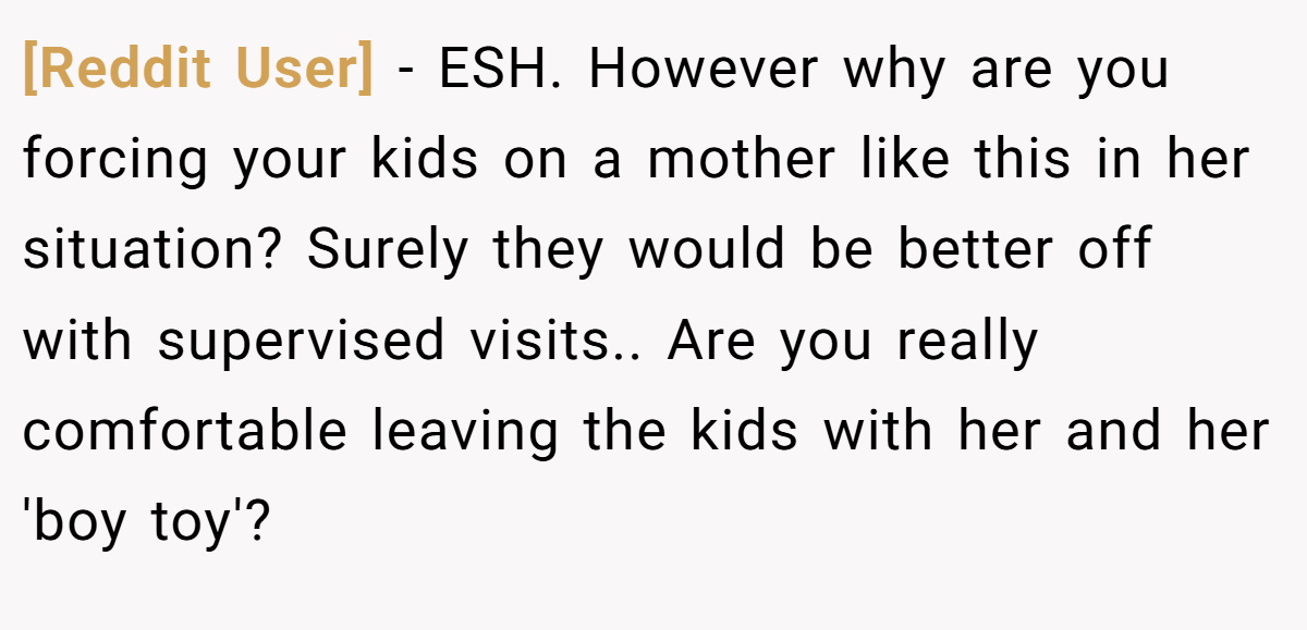 [Reddit User] − ESH. However why are you forcing your kids on a mother like this in her situation? Surely they would be better off with supervised visits.. Are you really comfortable leaving the kids with her and her 'boy toy'?