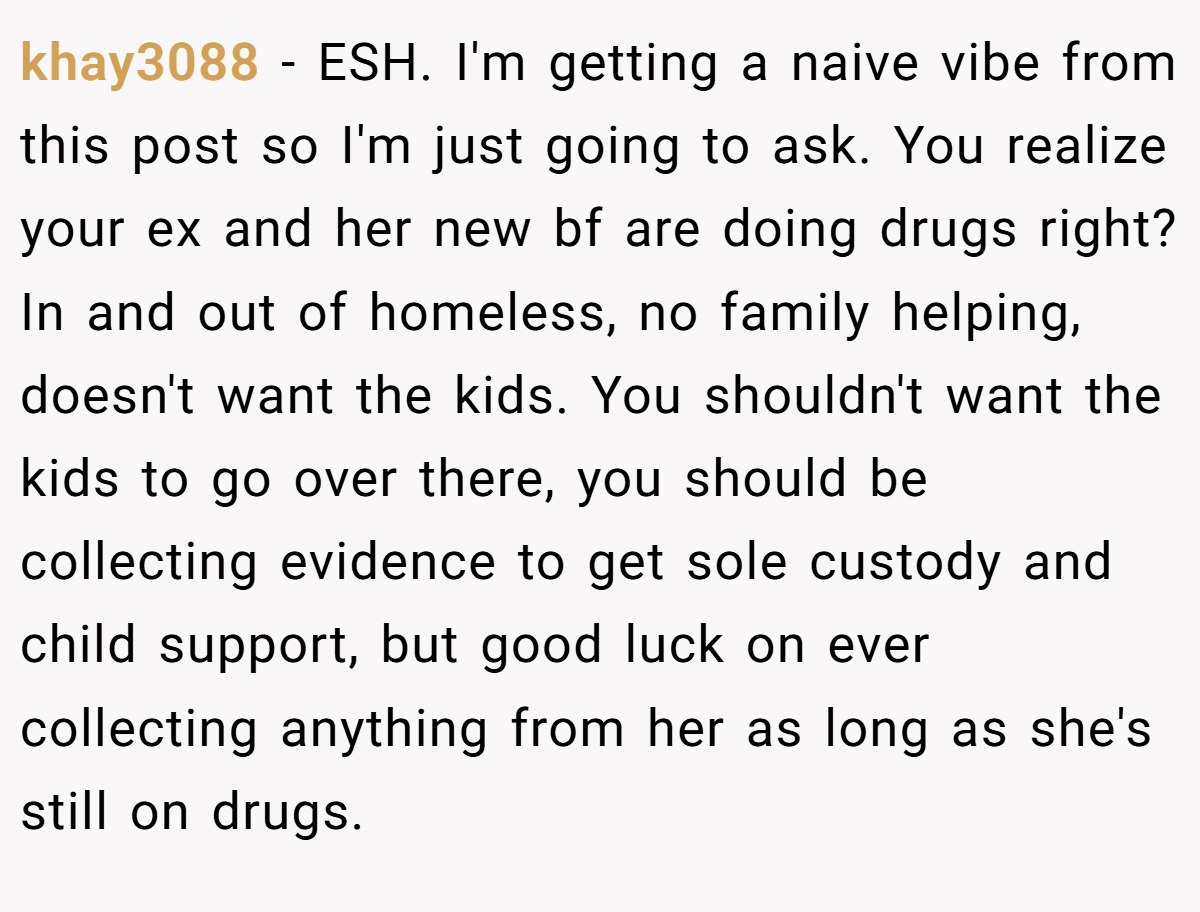 khay3088 − ESH. I'm getting a naive vibe from this post so I'm just going to ask. You realize your ex and her new bf are doing drugs right? In and out of homeless, no family helping, doesn't want the kids. You shouldn't want the kids to go over there, you should be collecting evidence to get sole custody and child support, but good luck on ever collecting anything from her as long as she's still on drugs.