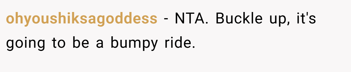 ohyoushiksagoddess - NTA. Buckle up, it's going to be a bumpy ride.