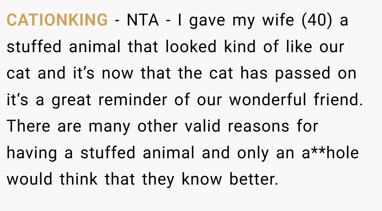 CATIONKING - NTA - I gave my wife (40) a stuffed animal that looked kind of like our cat and it’s now that the cat has passed on it‘s a great reminder of our wonderful friend. There are many other valid reasons for having a stuffed animal and only an a**hole would think that they know better.