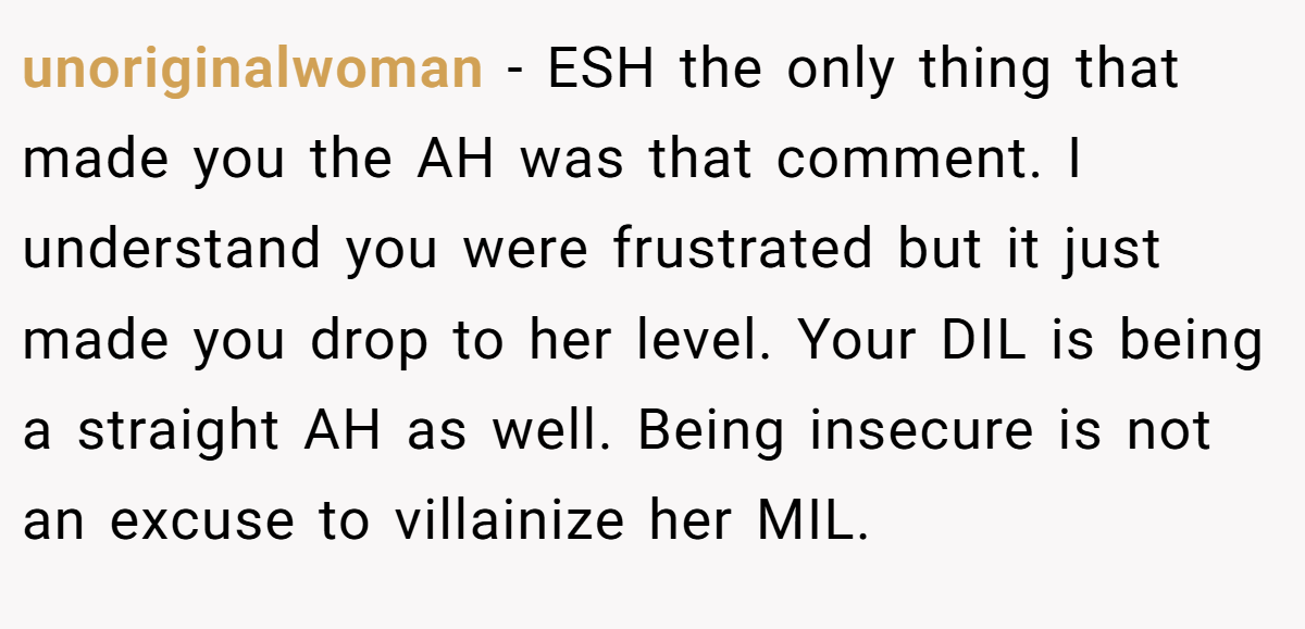 unoriginalwoman − ESH the only thing that made you the AH was that comment. I understand you were frustrated but it just made you drop to her level. Your DIL is being a straight AH as well. Being insecure is not an excuse to villainize her MIL.
