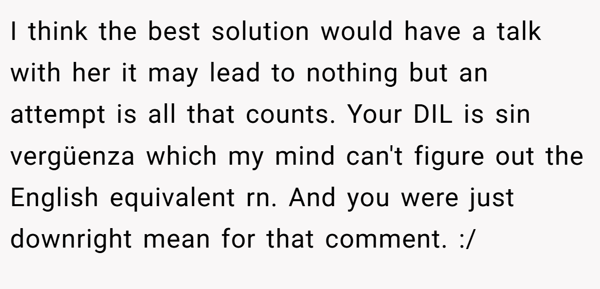 I think the best solution would have a talk with her it may lead to nothing but an attempt is all that counts. Your DIL is sin vergüenza which my mind can't figure out the English equivalent rn. And you were just downright mean for that comment. :/