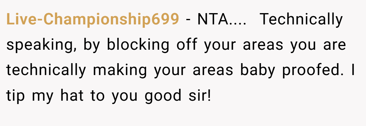 Live-Championship699 − NTA.... ​ Technically speaking, by blocking off your areas you are technically making your areas baby proofed. I tip my hat to you good sir!