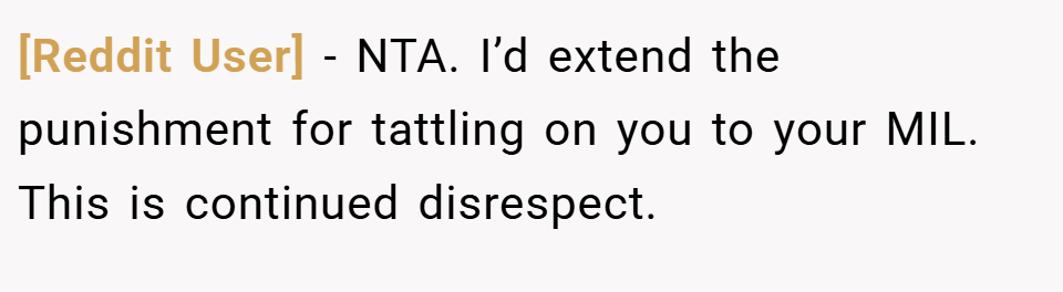 [Reddit User] − NTA. I’d extend the punishment for tattling on you to your MIL. This is continued disrespect.
