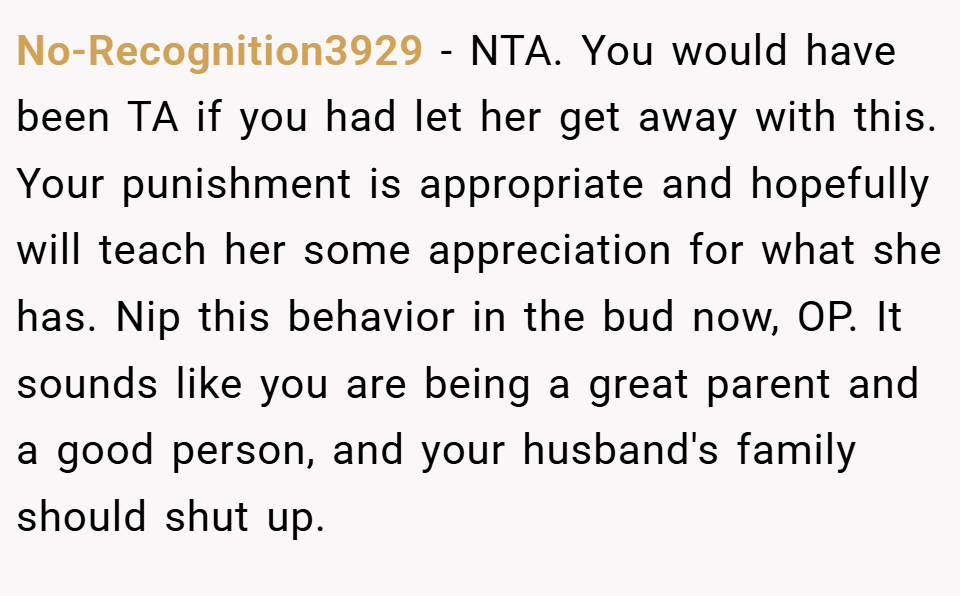 No-Recognition3929 − NTA. You would have been TA if you had let her get away with this. Your punishment is appropriate and hopefully will teach her some appreciation for what she has. Nip this behavior in the bud now, OP. It sounds like you are being a great parent and a good person, and your husband's family should shut up.