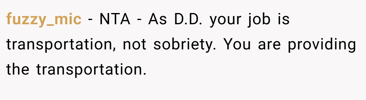 fuzzy_mic - NTA - As D.D. your job is transportation, not sobriety. You are providing the transportation.