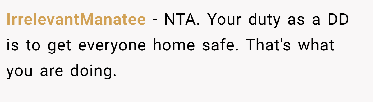 IrrelevantManatee - NTA. Your duty as a DD is to get everyone home safe. That's what you are doing.