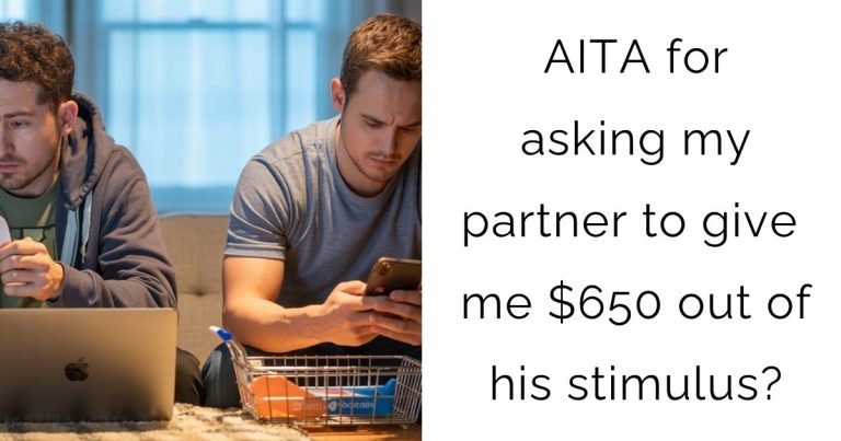 AITA for asking my partner to give me $650 out of his stimulus?