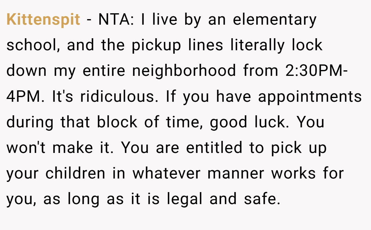 Kittenspit − NTA: I live by an elementary school, and the pickup lines literally lock down my entire neighborhood from 2:30PM-4PM. It's ridiculous. If you have appointments during that block of time, good luck. You won't make it. You are entitled to pick up your children in whatever manner works for you, as long as it is legal and safe.