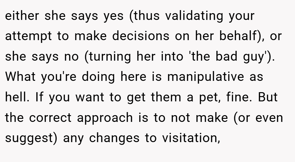 either she says yes (thus validating your attempt to make decisions on her behalf), or she says no (turning her into 'the bad guy'). What you're doing here is manipulative as hell. If you want to get them a pet, fine. But the correct approach is to not make (or even suggest) any changes to visitation,