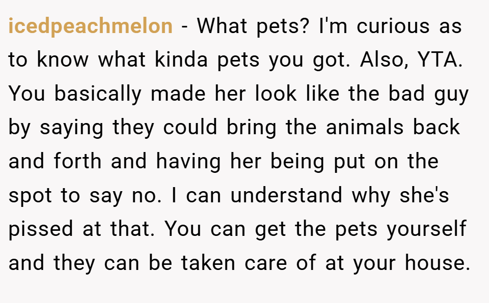 icedpeachmelon − What pets? I'm curious as to know what kinda pets you got. Also, YTA. You basically made her look like the bad guy by saying they could bring the animals back and forth and having her being put on the spot to say no. I can understand why she's pissed at that. You can get the pets yourself and they can be taken care of at your house.