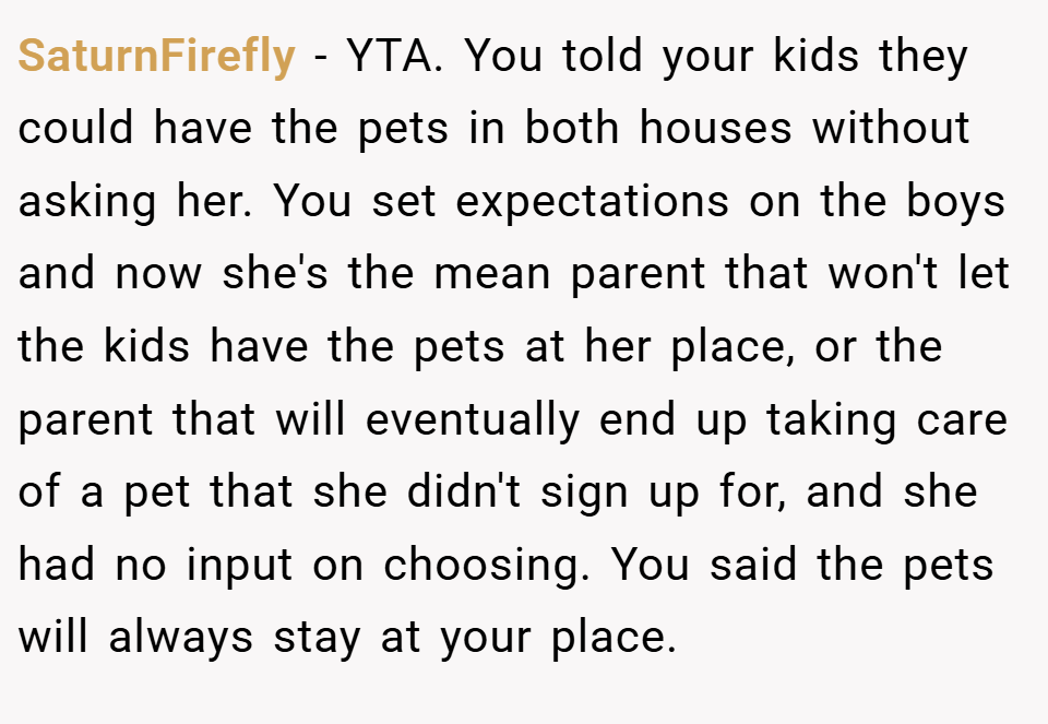 SaturnFirefly − YTA. You told your kids they could have the pets in both houses without asking her. You set expectations on the boys and now she's the mean parent that won't let the kids have the pets at her place, or the parent that will eventually end up taking care of a pet that she didn't sign up for, and she had no input on choosing. You said the pets will always stay at your place.
