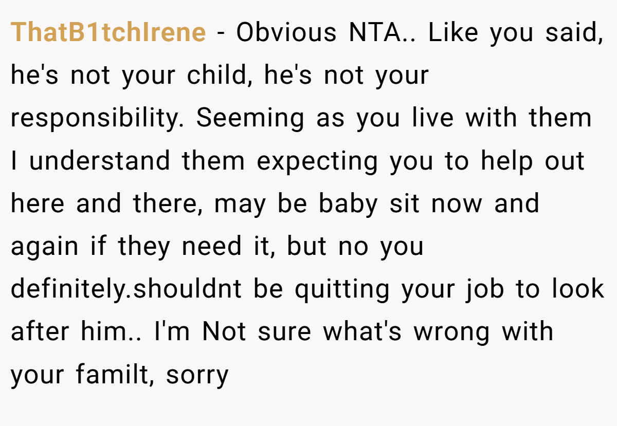 ThatB1tchIrene − Obvious NTA.. Like you said, he's not your child, he's not your responsibility. Seeming as you live with them I understand them expecting you to help out here and there, may be baby sit now and again if they need it, but no you definitely.shouldnt be quitting your job to look after him.. I'm Not sure what's wrong with your familt, sorry