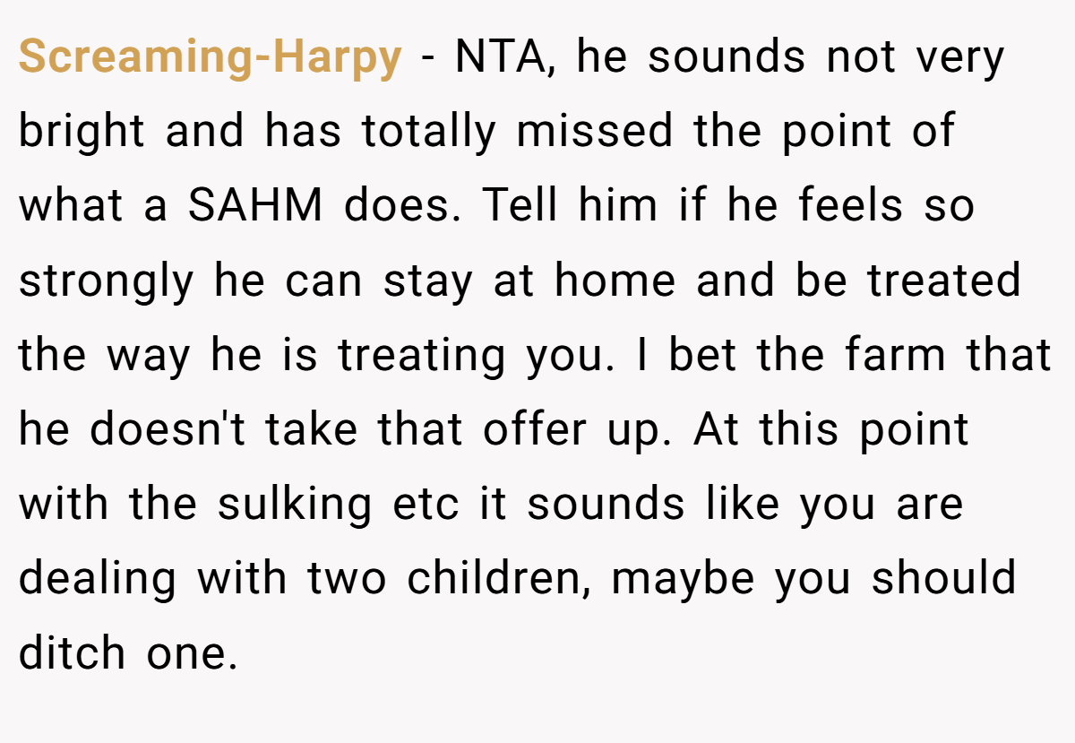 Screaming-Harpy − NTA, he sounds not very bright and has totally missed the point of what a SAHM does. Tell him if he feels so strongly he can stay at home and be treated the way he is treating you. I bet the farm that he doesn't take that offer up. At this point with the sulking etc it sounds like you are dealing with two children, maybe you should ditch one.