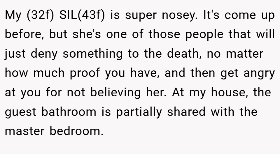 My (32f) SIL(43f) is super nosey. It's come up before, but she's one of those people that will just deny something to the death, no matter how much proof you have, and then get angry at you for not believing her. At my house, the guest bathroom is partially shared with the master bedroom.
