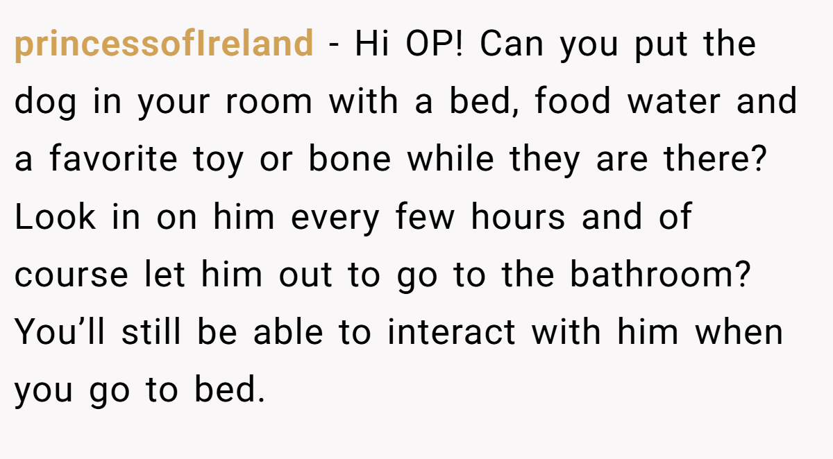 princessofIreland − Hi OP! Can you put the dog in your room with a bed, food water and a favorite toy or bone while they are there? Look in on him every few hours and of course let him out to go to the bathroom? You’ll still be able to interact with him when you go to bed.