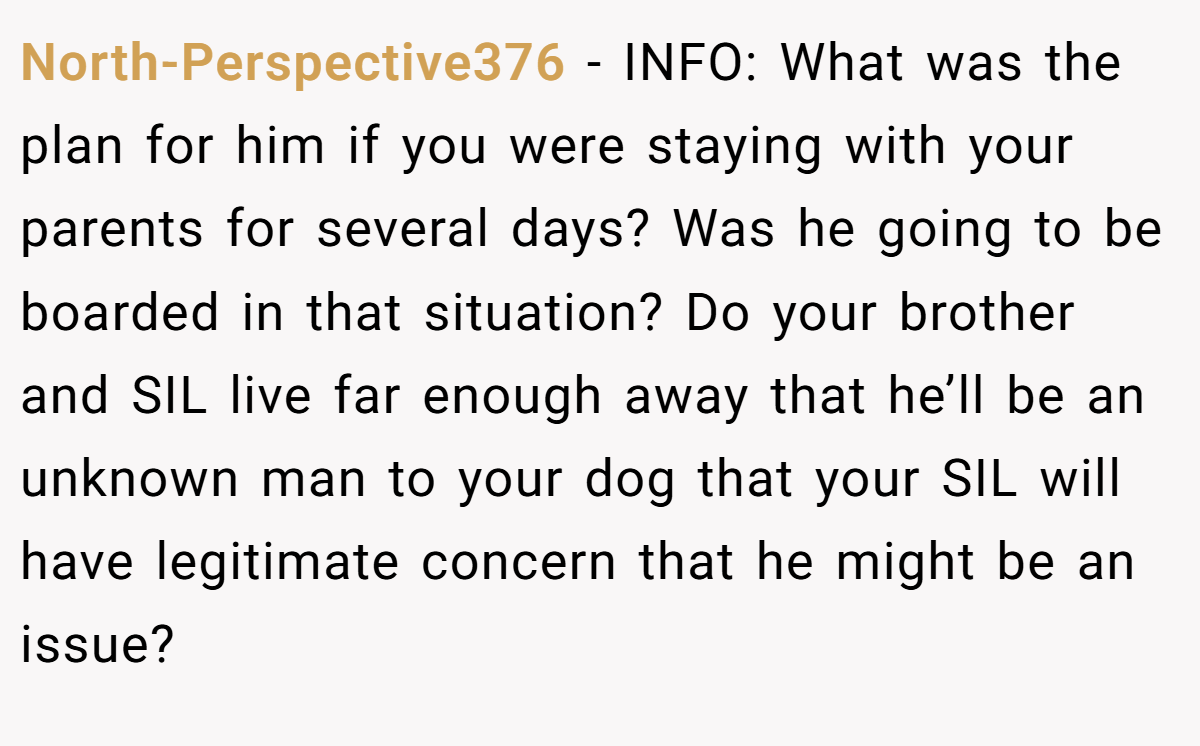 North-Perspective376 − INFO: What was the plan for him if you were staying with your parents for several days? Was he going to be boarded in that situation? Do your brother and SIL live far enough away that he’ll be an unknown man to your dog that your SIL will have legitimate concern that he might be an issue?