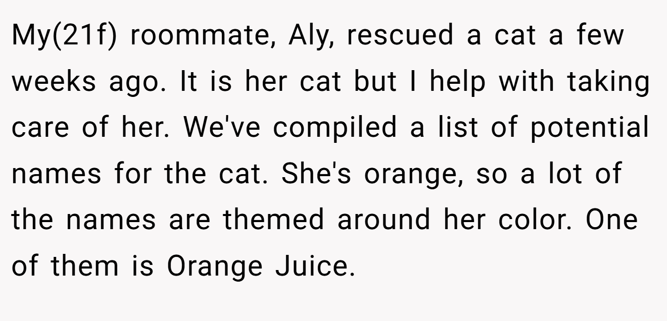My(21f) roommate, Aly, rescued a cat a few weeks ago. It is her cat but I help with taking care of her. We've compiled a list of potential names for the cat. She's orange, so a lot of the names are themed around her color. One of them is Orange Juice.