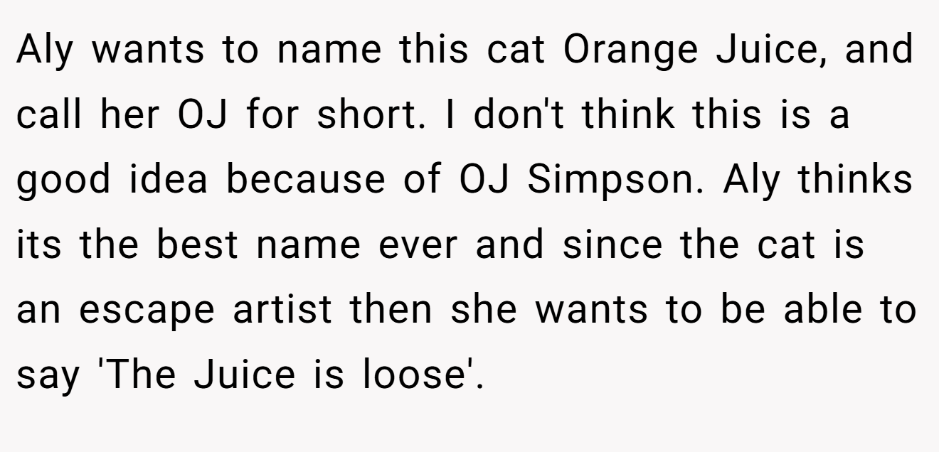 Aly wants to name this cat Orange Juice, and call her OJ for short. I don't think this is a good idea because of OJ Simpson. Aly thinks its the best name ever and since the cat is an escape artist then she wants to be able to say 'The Juice is loose'.