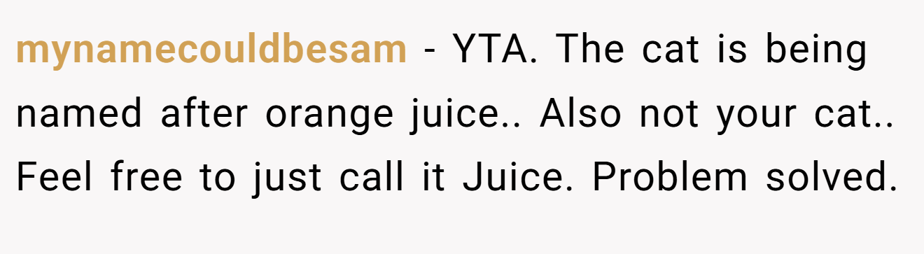 mynamecouldbesam - YTA. The cat is being named after orange juice.. Also not your cat.. Feel free to just call it Juice. Problem solved.
