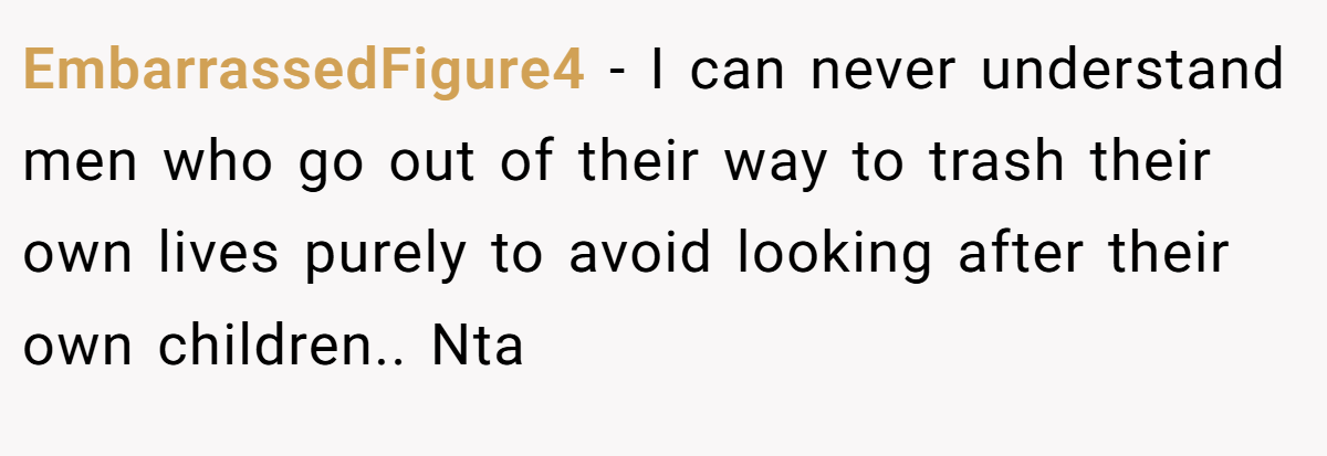 EmbarrassedFigure4 − I can never understand men who go out of their way to trash their own lives purely to avoid looking after their own children.. Nta