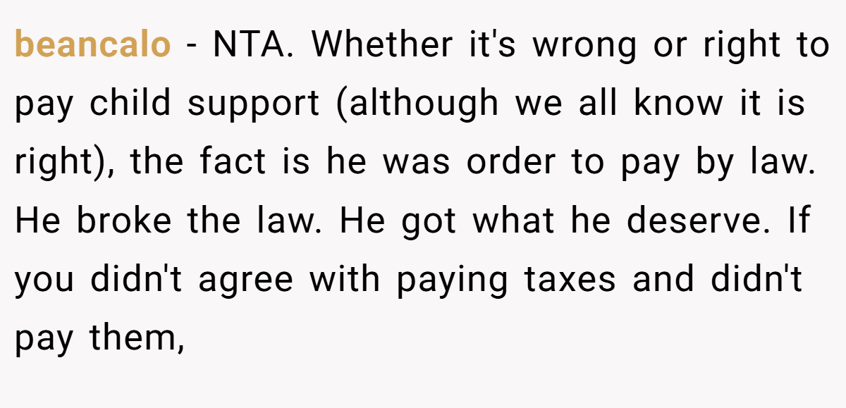 beancalo − NTA. Whether it's wrong or right to pay child support (although we all know it is right), the fact is he was order to pay by law. He broke the law. He got what he deserve. If you didn't agree with paying taxes and didn't pay them,