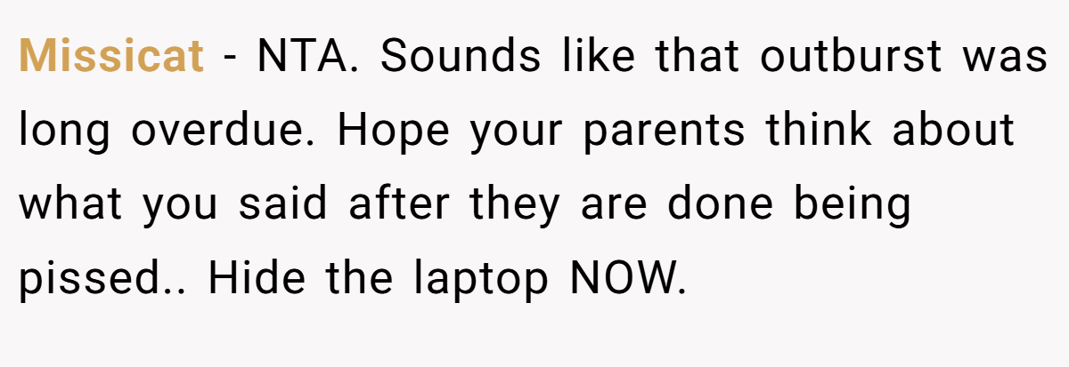 Missicat - NTA. Sounds like that outburst was long overdue. Hope your parents think about what you said after they are done being pissed.. Hide the laptop NOW.