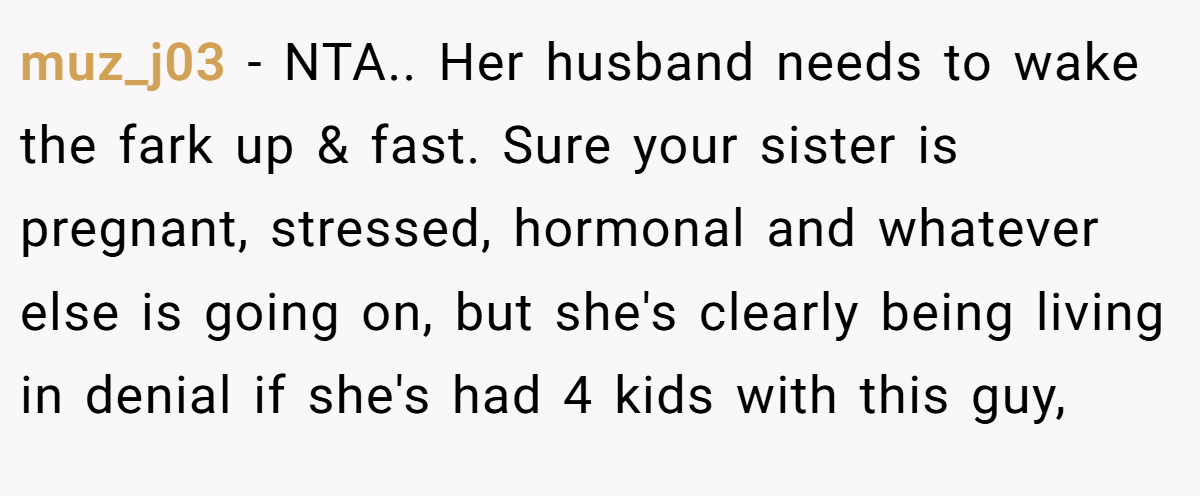 muz_j03 − NTA.. Her husband needs to wake the fark up & fast. Sure your sister is pregnant, stressed, hormonal and whatever else is going on, but she's clearly being living in denial if she's had 4 kids with this guy,