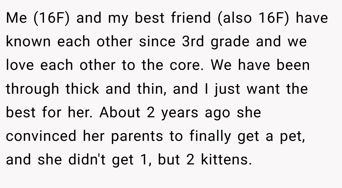 Me (16F) and my best friend (also 16F) have known each other since 3rd grade and we love each other to the core. We have been through thick and thin, and I just want the best for her. About 2 years ago she convinced her parents to finally get a pet, and she didn't get 1, but 2 kittens.