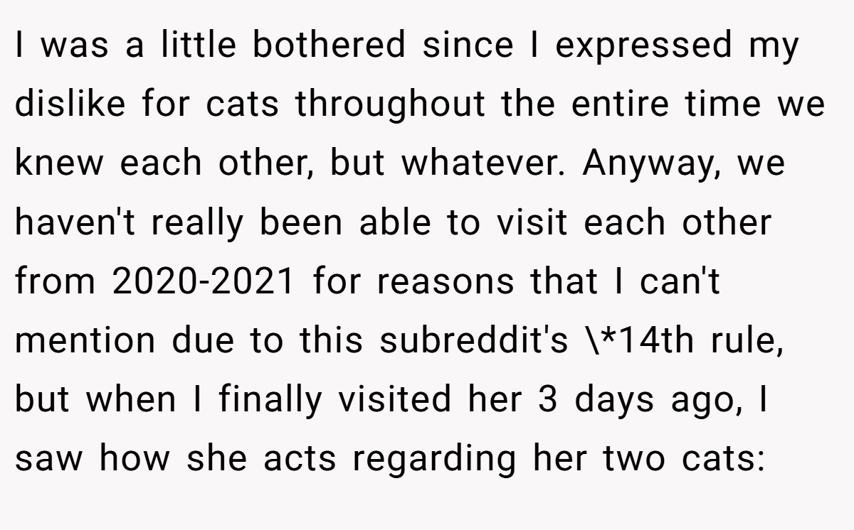 I was a little bothered since I expressed my dislike for cats throughout the entire time we knew each other, but whatever. Anyway, we haven't really been able to visit each other from 2020-2021 for reasons that I can't mention due to this subreddit's \*14th rule, but when I finally visited her 3 days ago, I saw how she acts regarding her two cats: