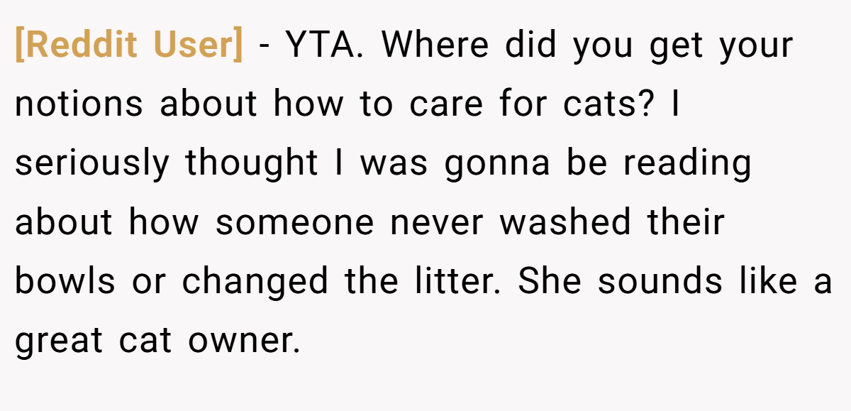 [Reddit User] − YTA. Where did you get your notions about how to care for cats? I seriously thought I was gonna be reading about how someone never washed their bowls or changed the litter. She sounds like a great cat owner.