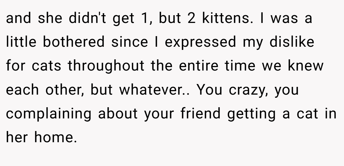 and she didn't get 1, but 2 kittens. I was a little bothered since I expressed my dislike for cats throughout the entire time we knew each other, but whatever.. You crazy, you complaining about your friend getting a cat in her home.