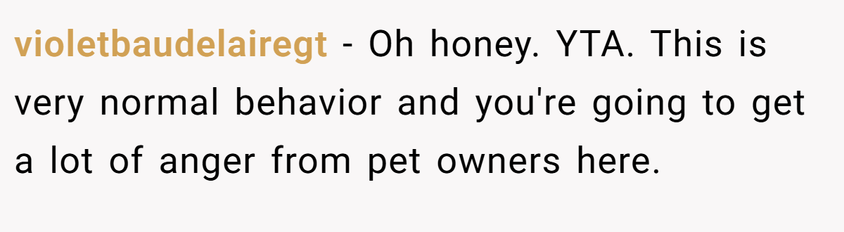 violetbaudelairegt − Oh honey. YTA. This is very normal behavior and you're going to get a lot of anger from pet owners here.