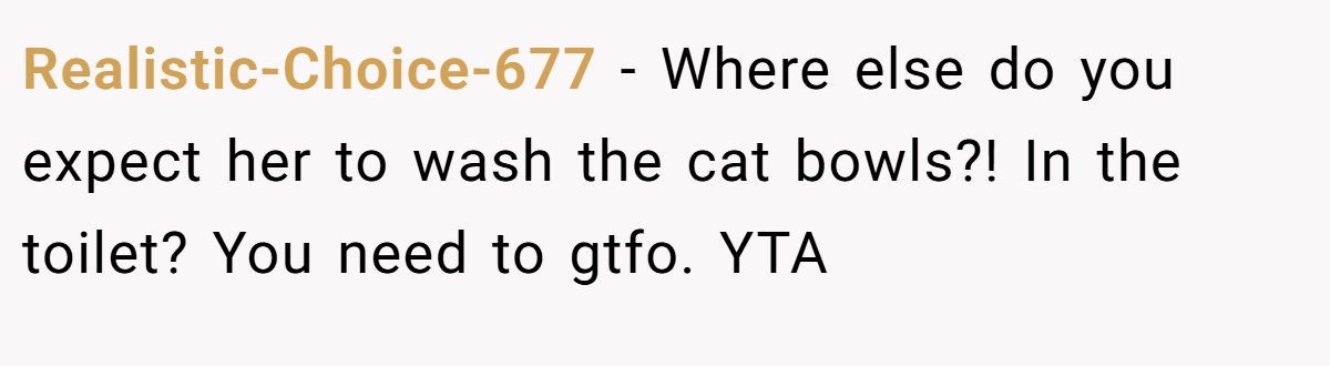 Realistic-Choice-677 − Where else do you expect her to wash the cat bowls?! In the toilet? You need to gtfo. YTA