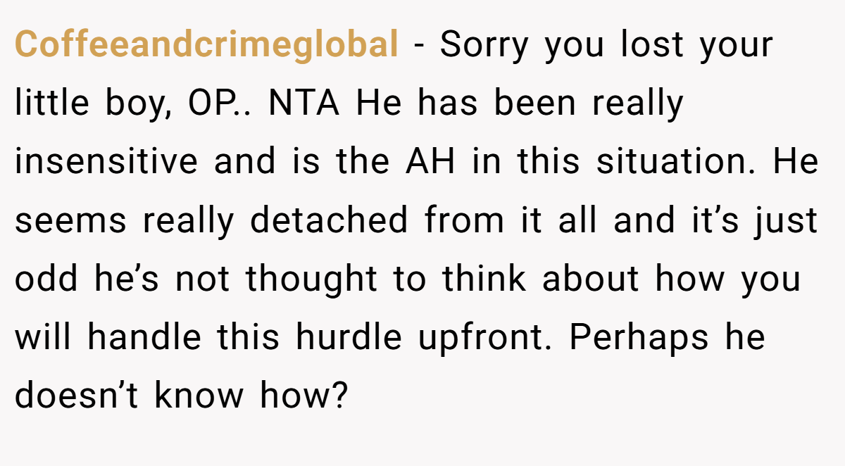 Coffeeandcrimeglobal − Sorry you lost your little boy, OP.. NTA He has been really insensitive and is the AH in this situation. He seems really detached from it all and it’s just odd he’s not thought to think about how you will handle this hurdle upfront. Perhaps he doesn’t know how?