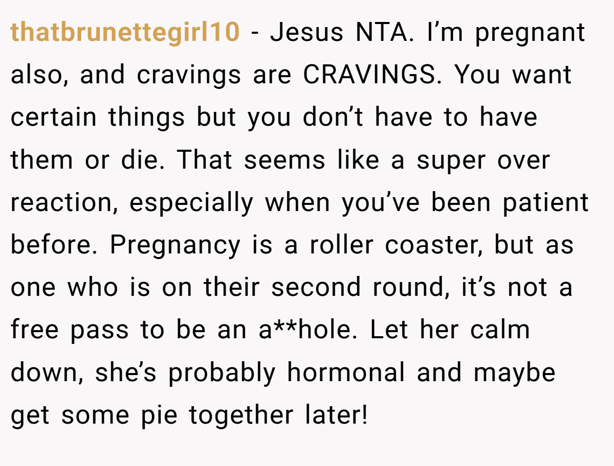 thatbrunettegirl10 − Jesus NTA. I’m pregnant also, and cravings are CRAVINGS. You want certain things but you don’t have to have them or die. That seems like a super over reaction, especially when you’ve been patient before. Pregnancy is a roller coaster, but as one who is on their second round, it’s not a free pass to be an a**hole. Let her calm down, she’s probably hormonal and maybe get some pie together later!