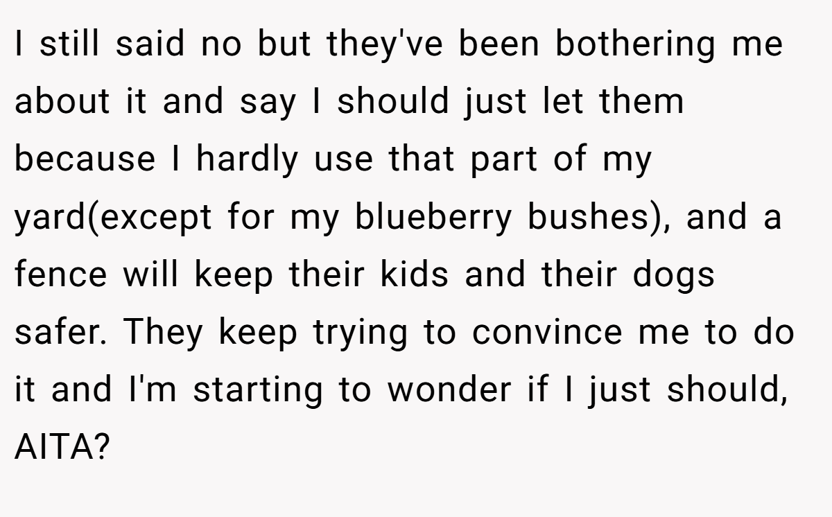 I still said no but they've been bothering me about it and say I should just let them because I hardly use that part of my yard(except for my blueberry bushes), and a fence will keep their kids and their dogs safer. They keep trying to convince me to do it and I'm starting to wonder if I just should, AITA?