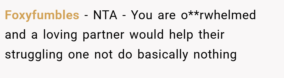 Foxyfumbles − NTA - You are o**rwhelmed and a loving partner would help their struggling one not do basically nothing