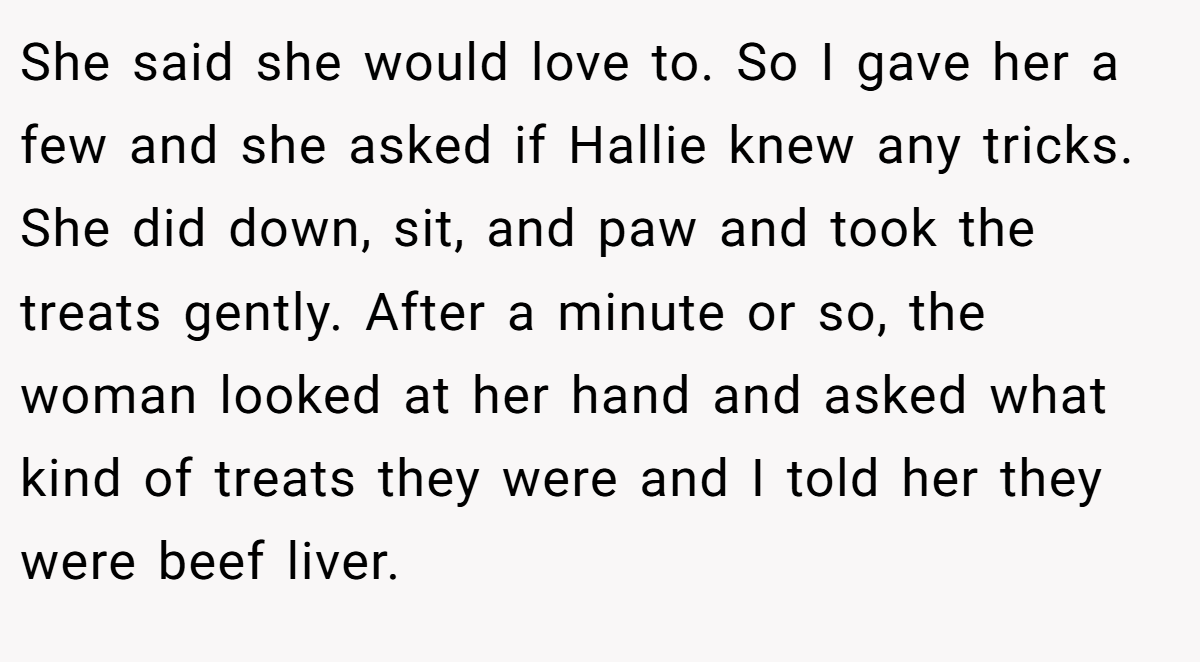She said she would love to. So I gave her a few and she asked if Hallie knew any tricks. She did down, sit, and paw and took the treats gently. After a minute or so, the woman looked at her hand and asked what kind of treats they were and I told her they were beef liver.